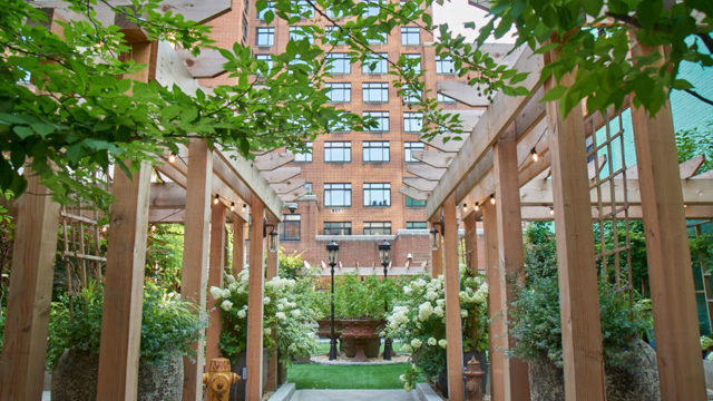 Soho Grand Dog Park with green grounds, wooden fixtures and trees