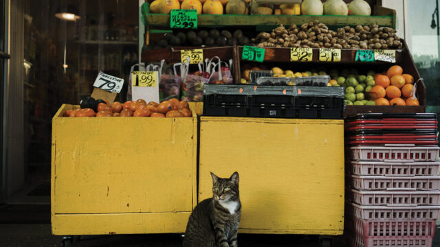 An image of a fruit and vegetable stall with a cat sitting in front.