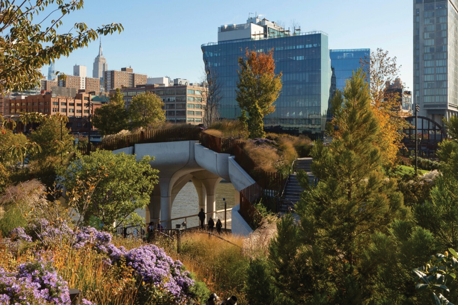 Beautiful view of Green Space Utilization Nyc