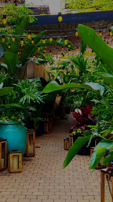 Potted plants and hanging lights at the entrance of Gilligan's outdoor bar and restaurant in SoHo, NY.