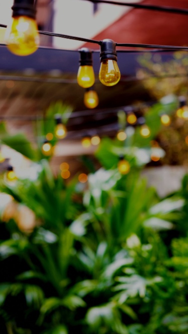 Lush greenery and hanging lights at Gilligan's outdoor bar and restaurant in SoHo, NY.