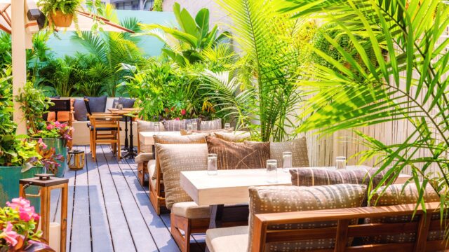Seating area with low couches and palm trees at Gilligan's outdoor bar and restaurant in SoHo, NY.