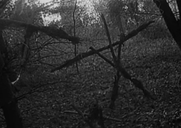 Scene from the film The Blair Witch Project
