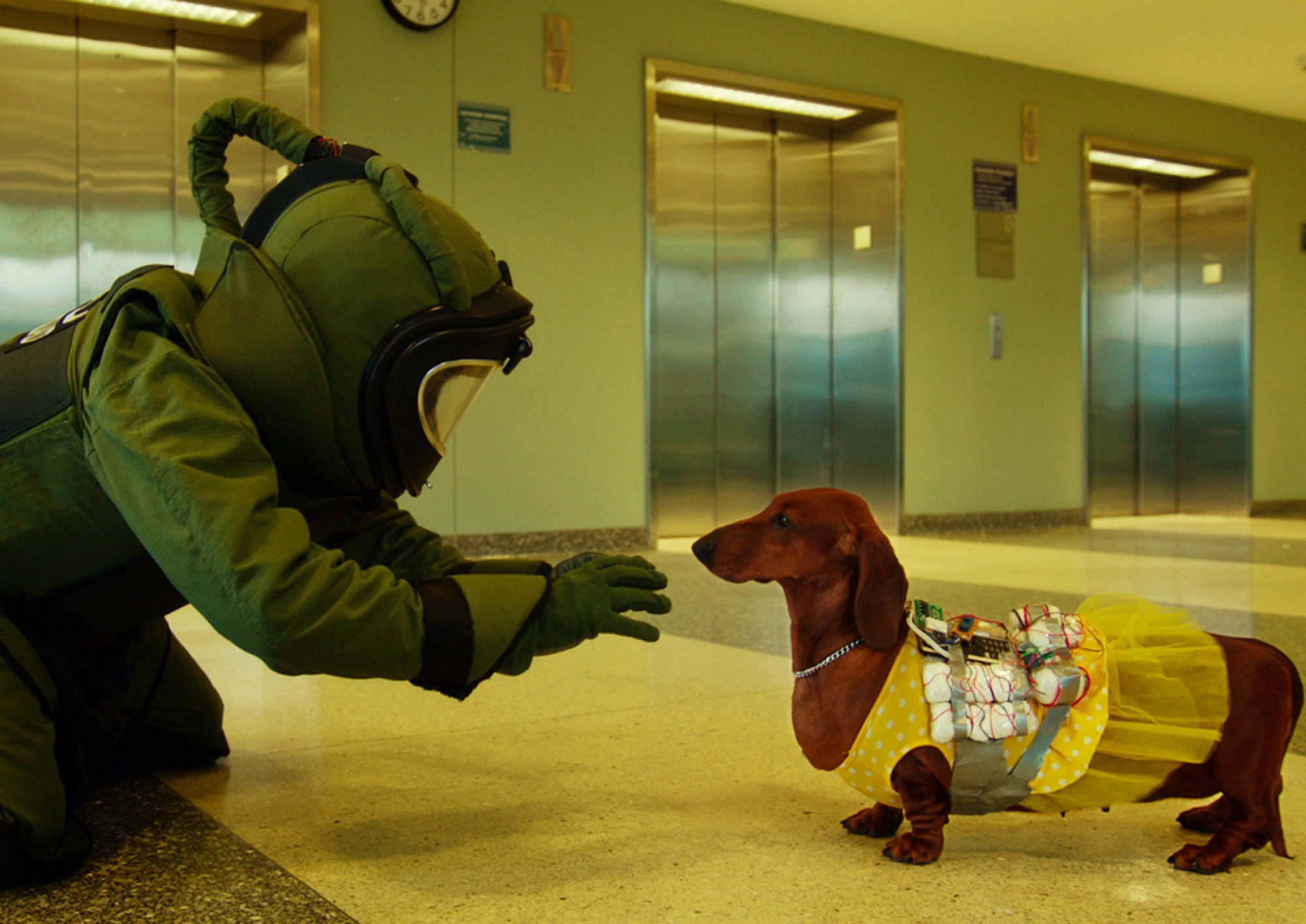 Image from the motion picture Wiener-Dog