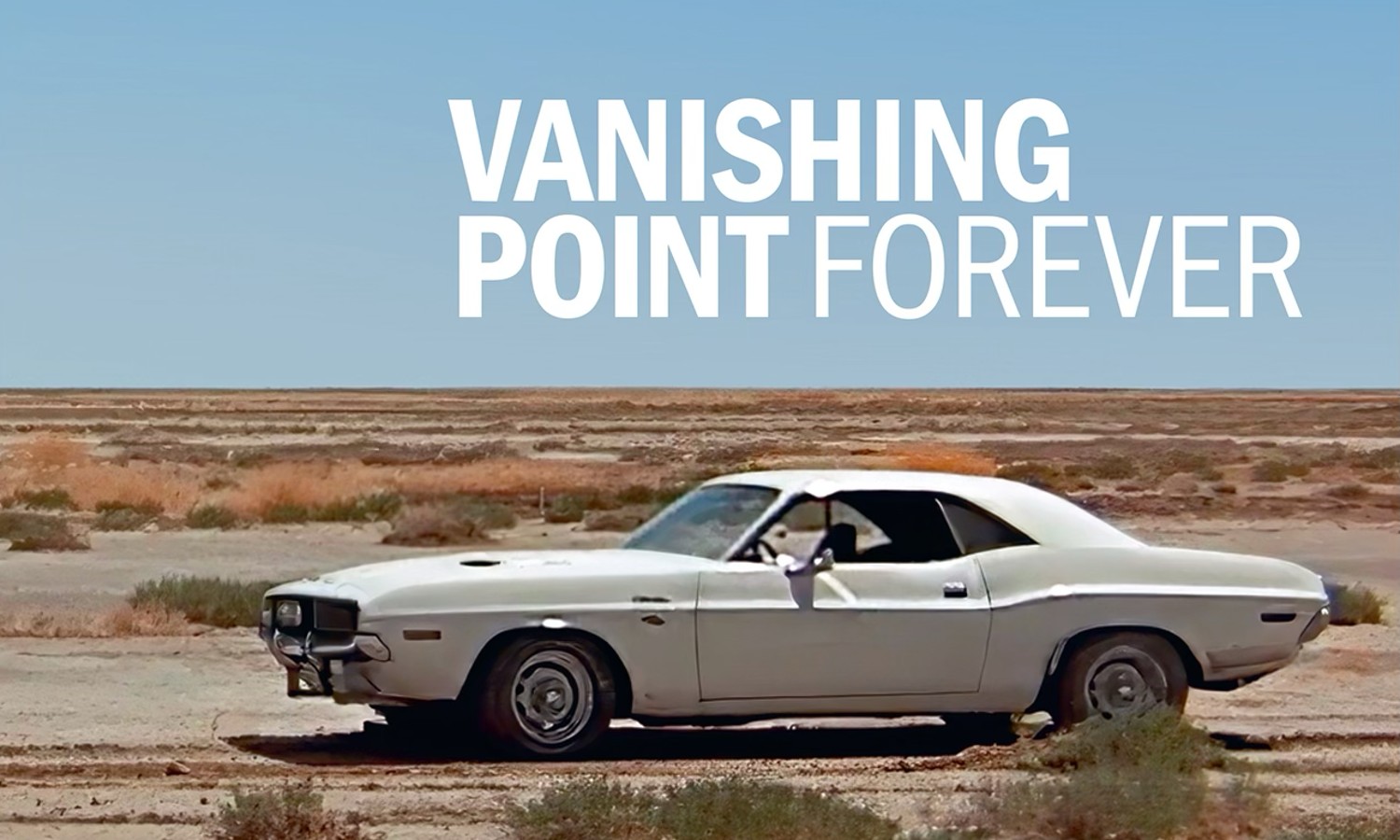 2024年冬【法人向けお歳暮】 | Point Vanishing Roxy York New Cinema ミュージック