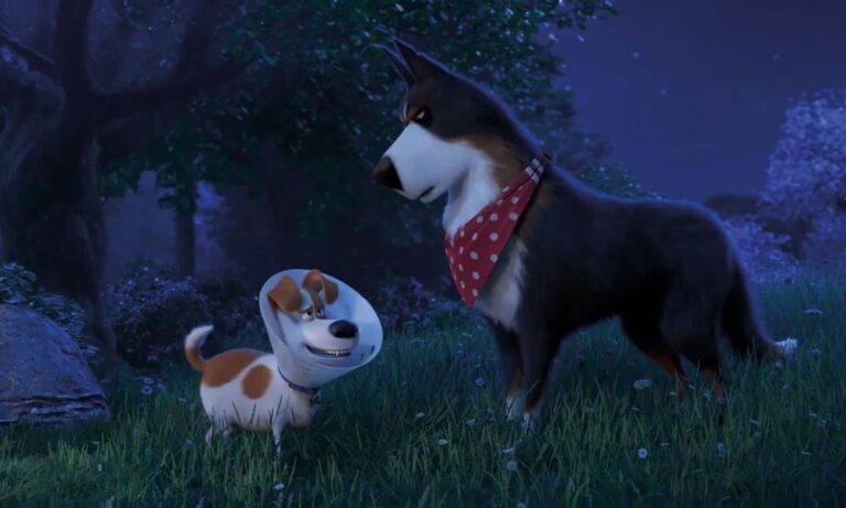 Image from the motion picture The Secret Life of Pets 2