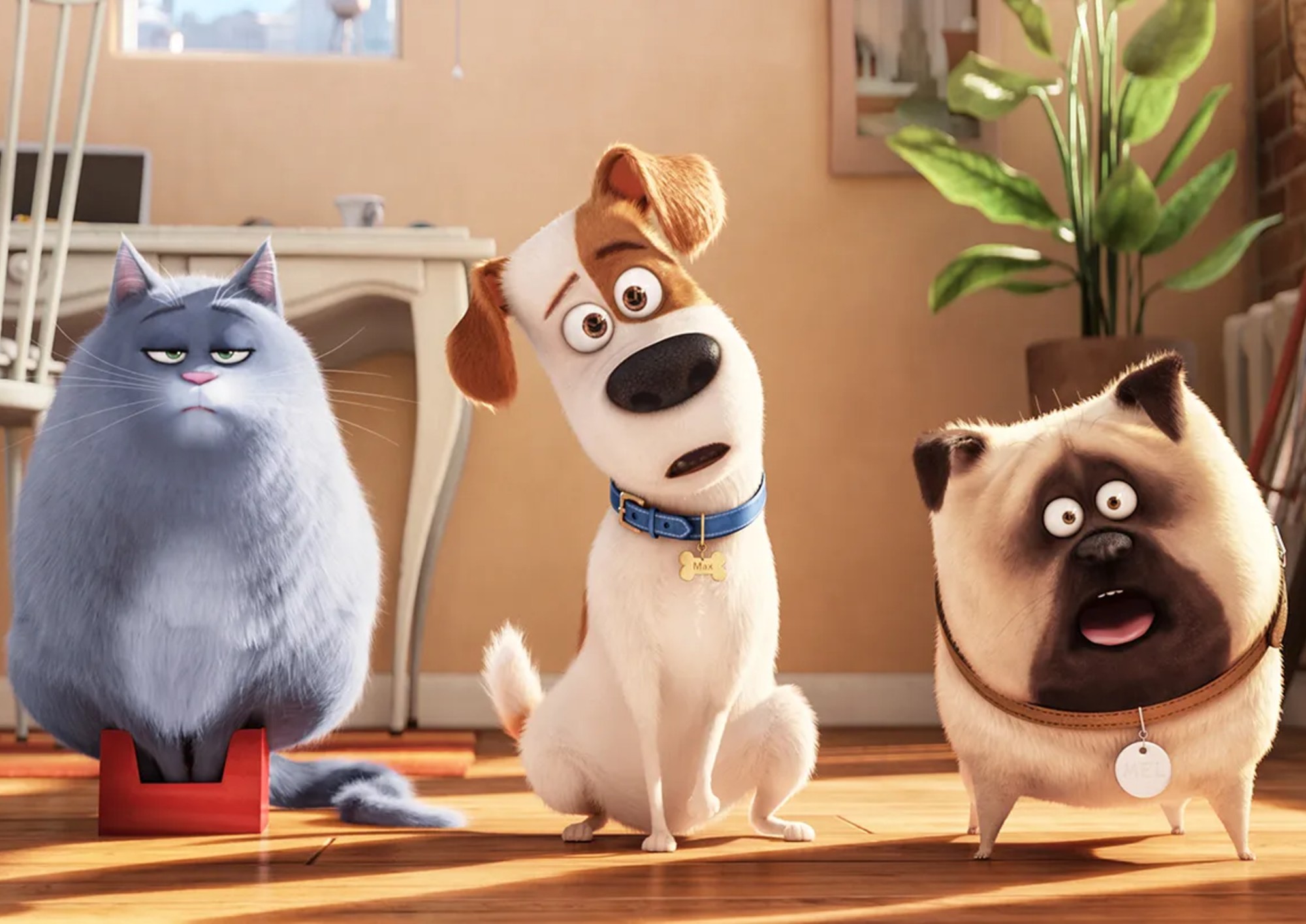 Image from the motion picture The Secret Life of Pets