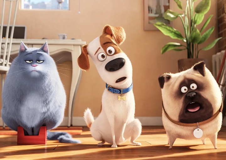 Image from the motion picture The Secret Life of Pets