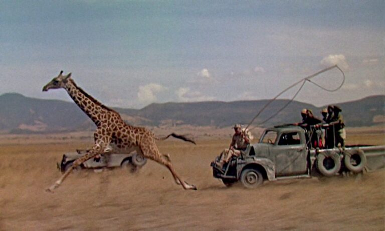 Image from the motion picture Hatari!