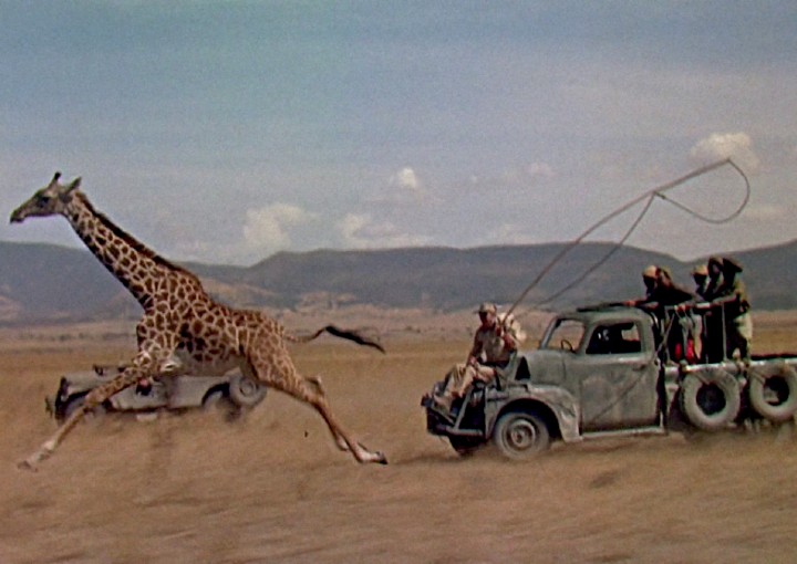Image from the motion picture Hatari!