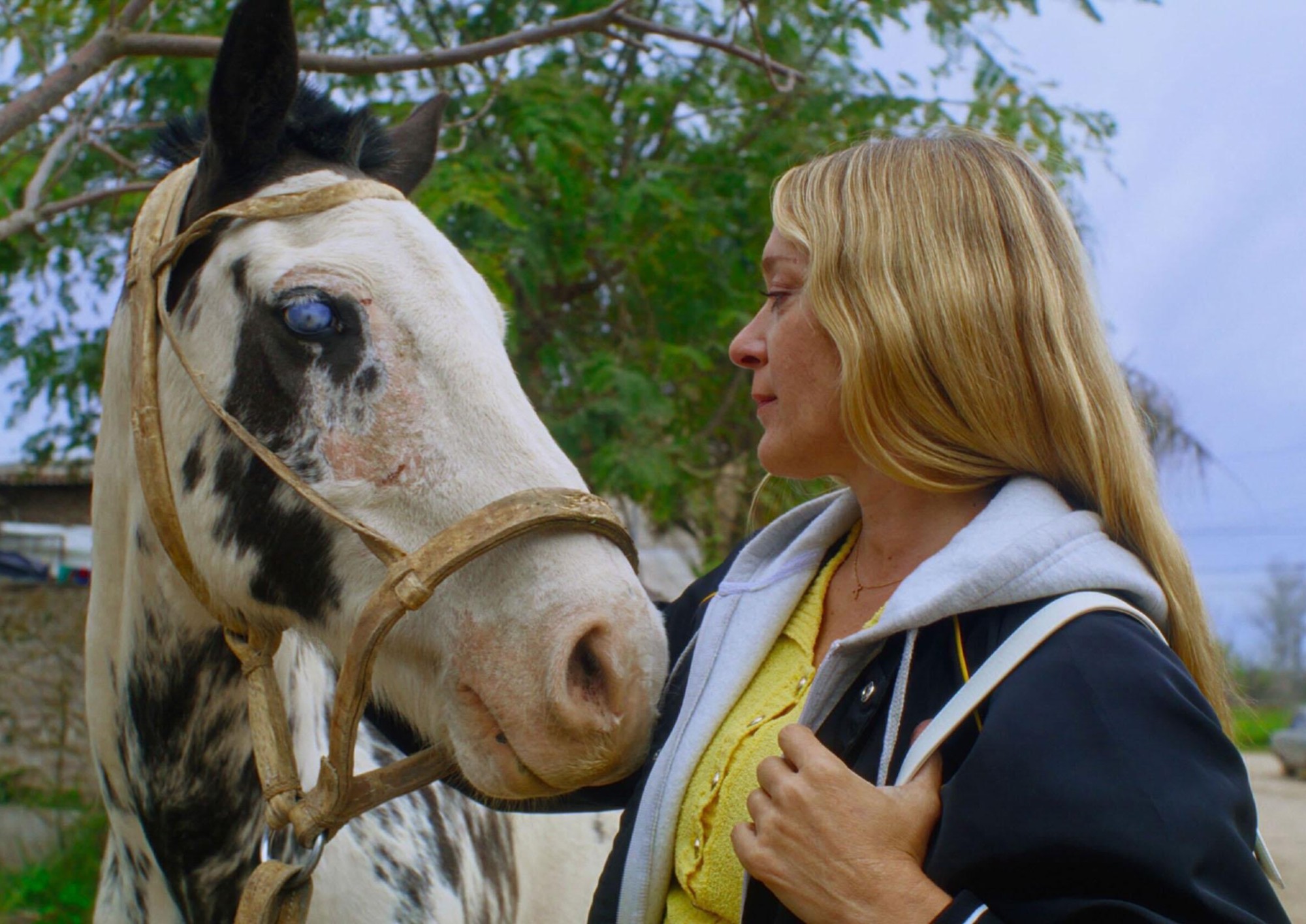 Image from the motion picture Magic Farm