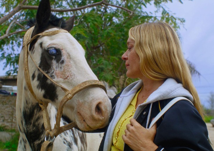 Image from the motion picture Magic Farm