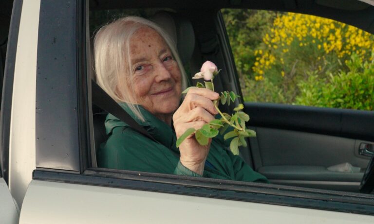 Image from the motion picture Hold Tight Missy!