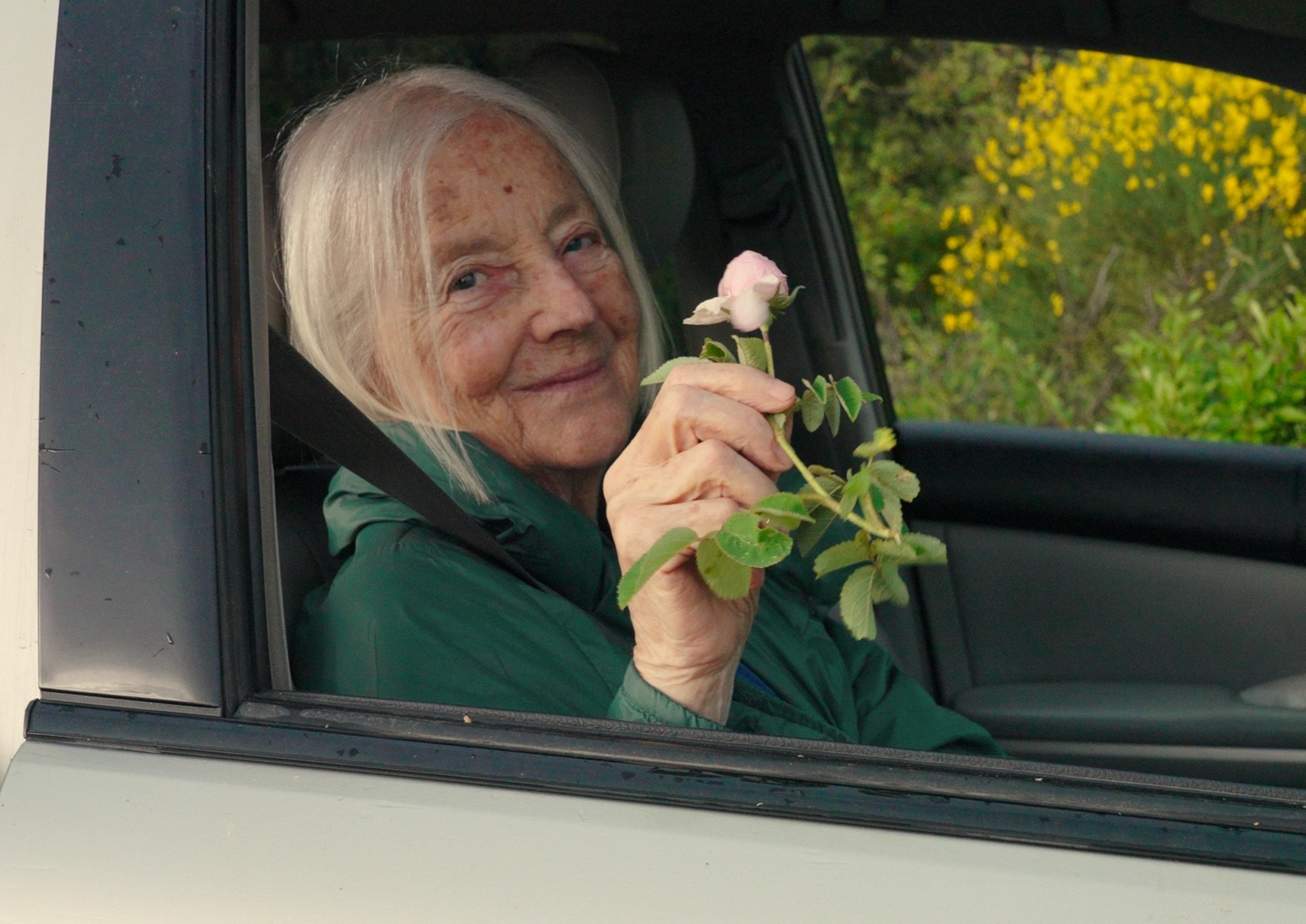 Image from the motion picture Hold Tight Missy!