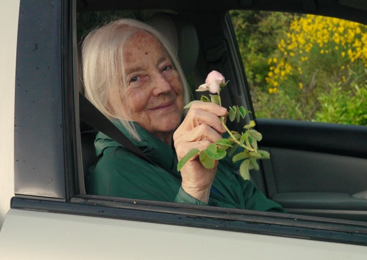 Image from the motion picture Hold Tight Missy!