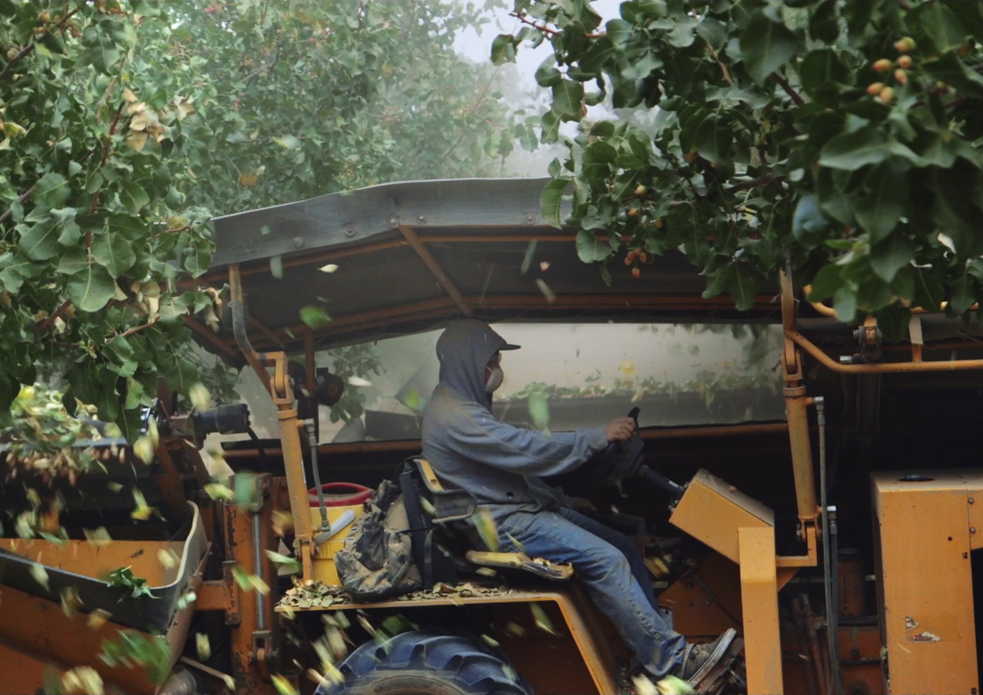 Image from the motion picture Pistachio Wars