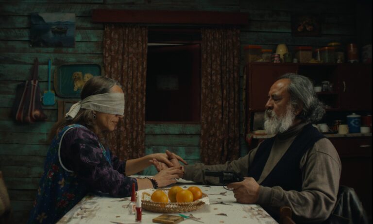 Image from the motion picture The Mysterious Gaze of the Flamingo