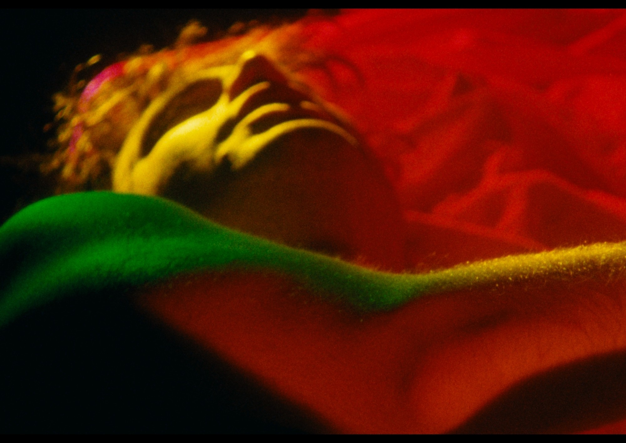 Image from the motion picture Anything that Moves