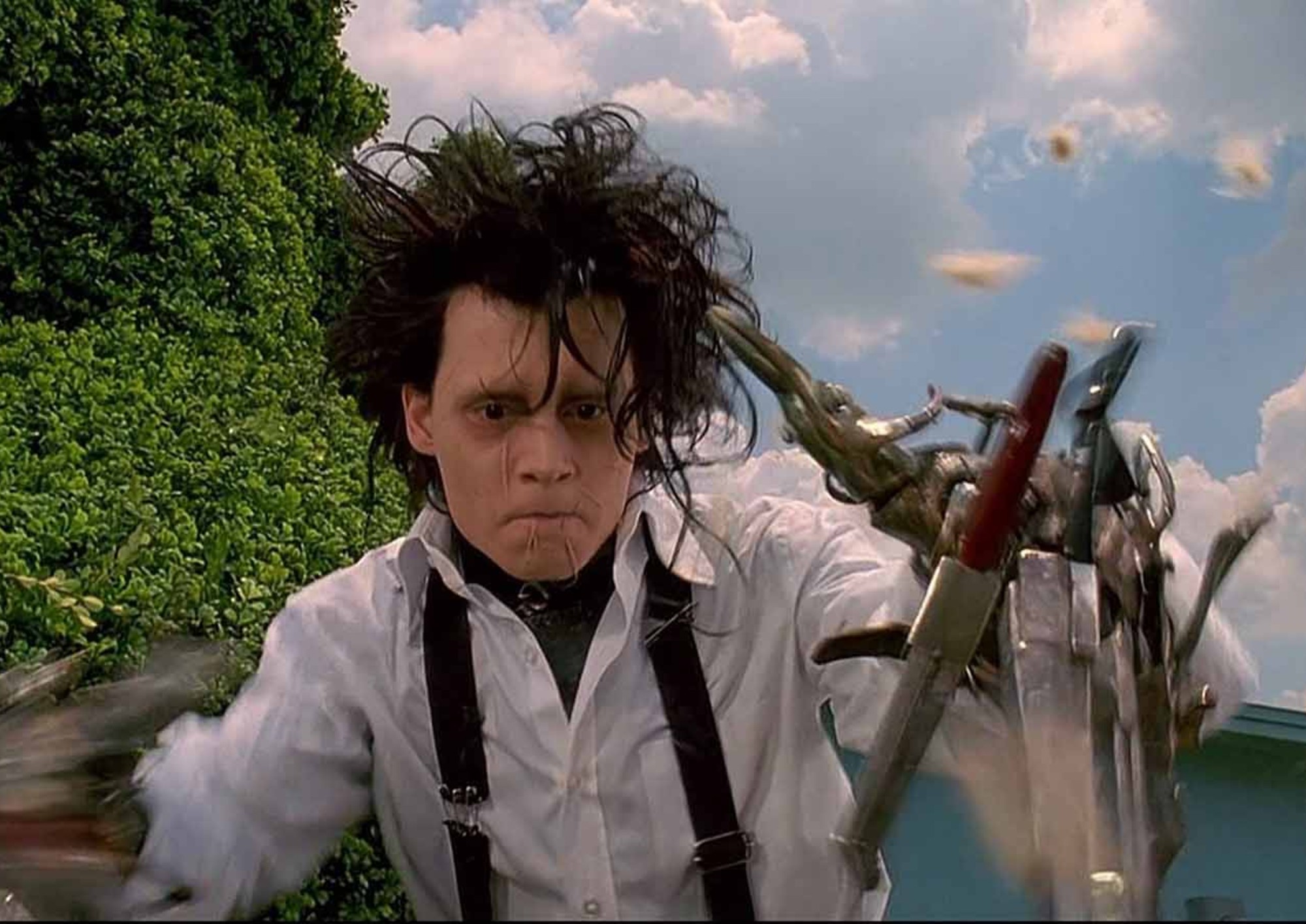 Image from the motion picture Edward Scissorhands