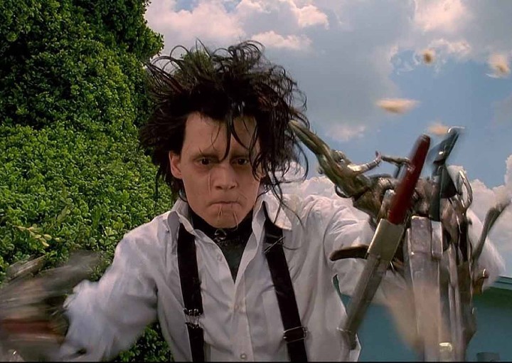 Image from the motion picture Edward Scissorhands
