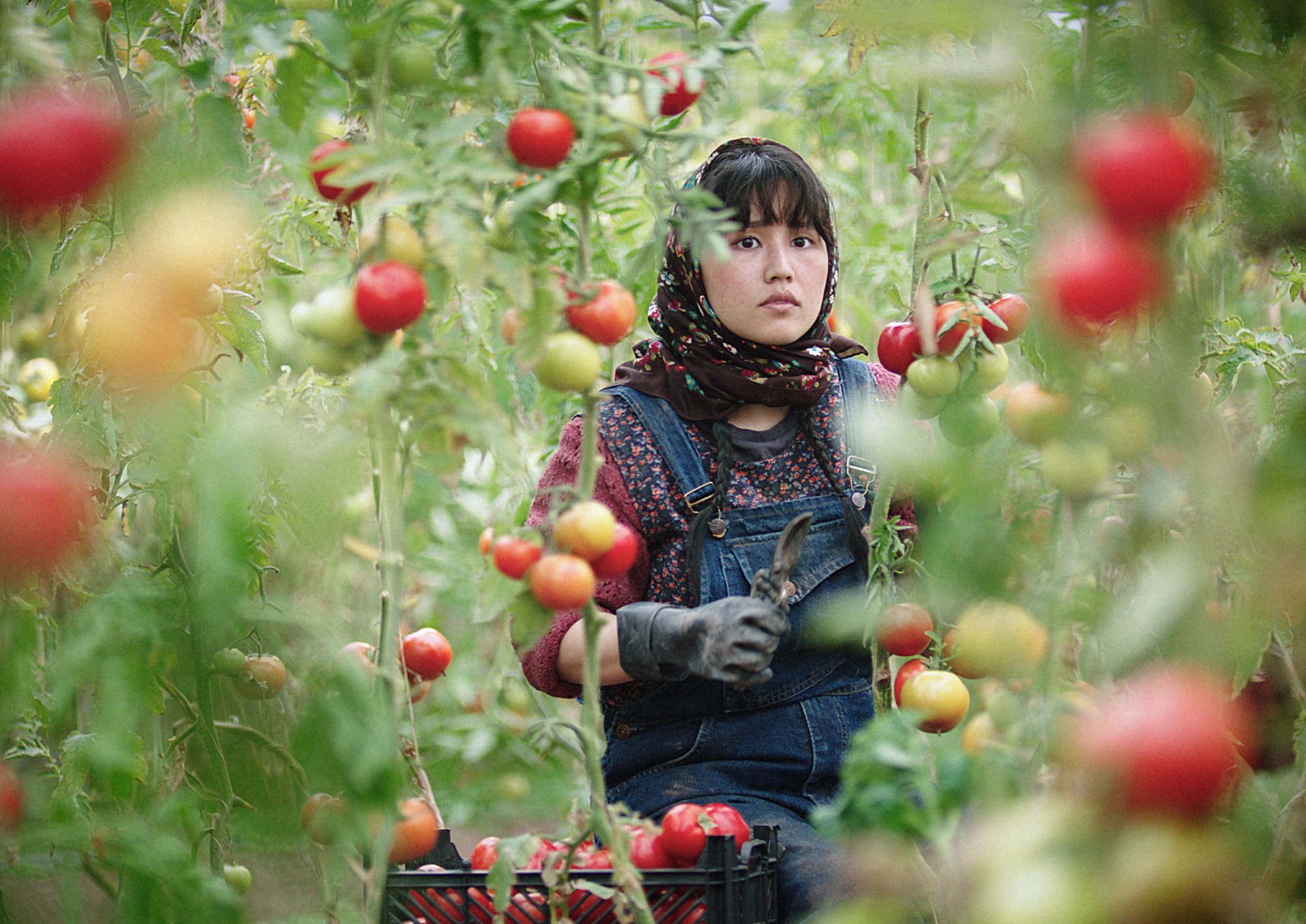 Image from the motion picture In the Land of Brothers