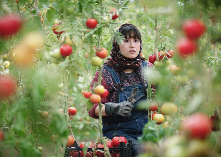 Image from the motion picture In the Land of Brothers