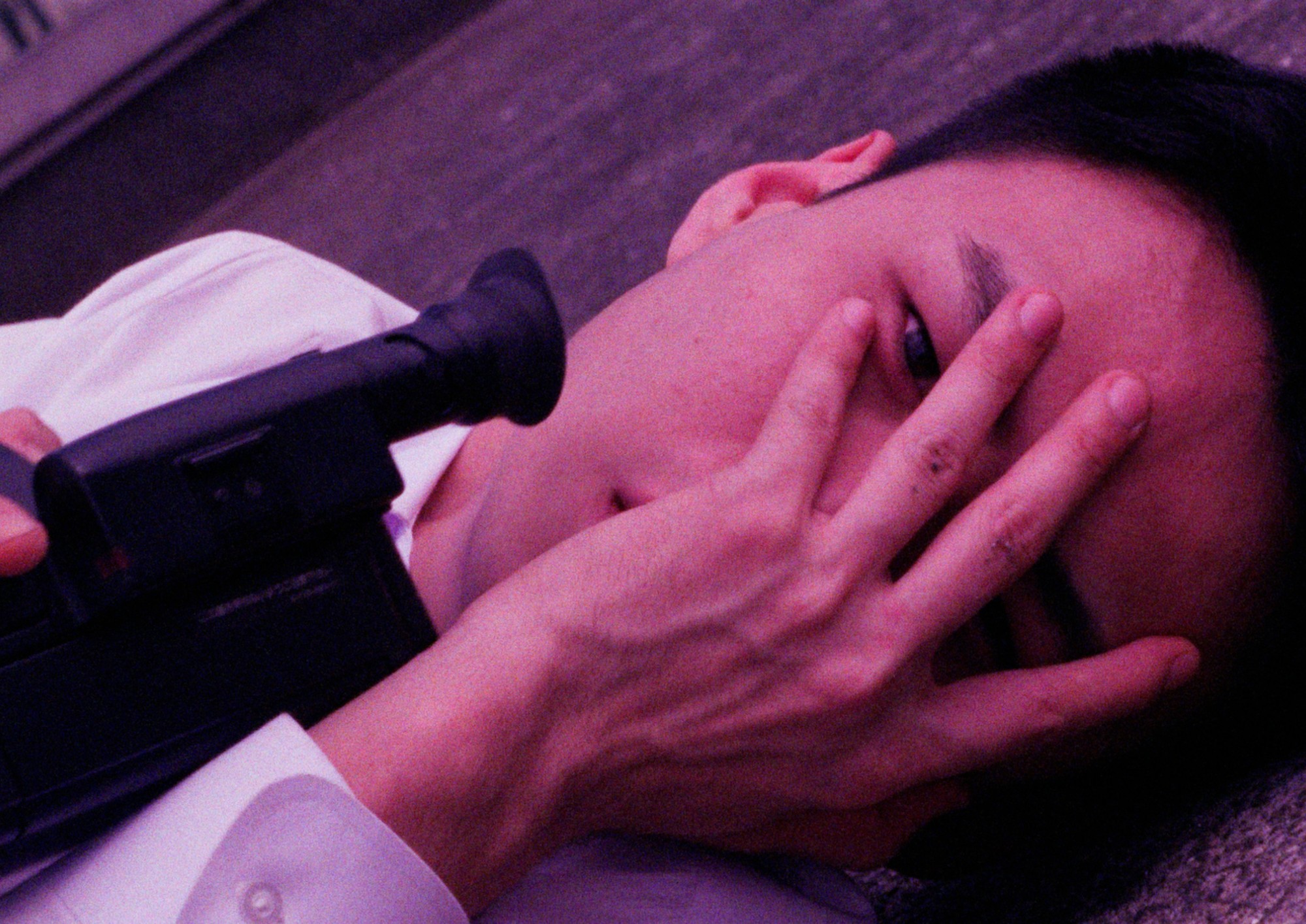 Image from the motion picture Turtle Vision