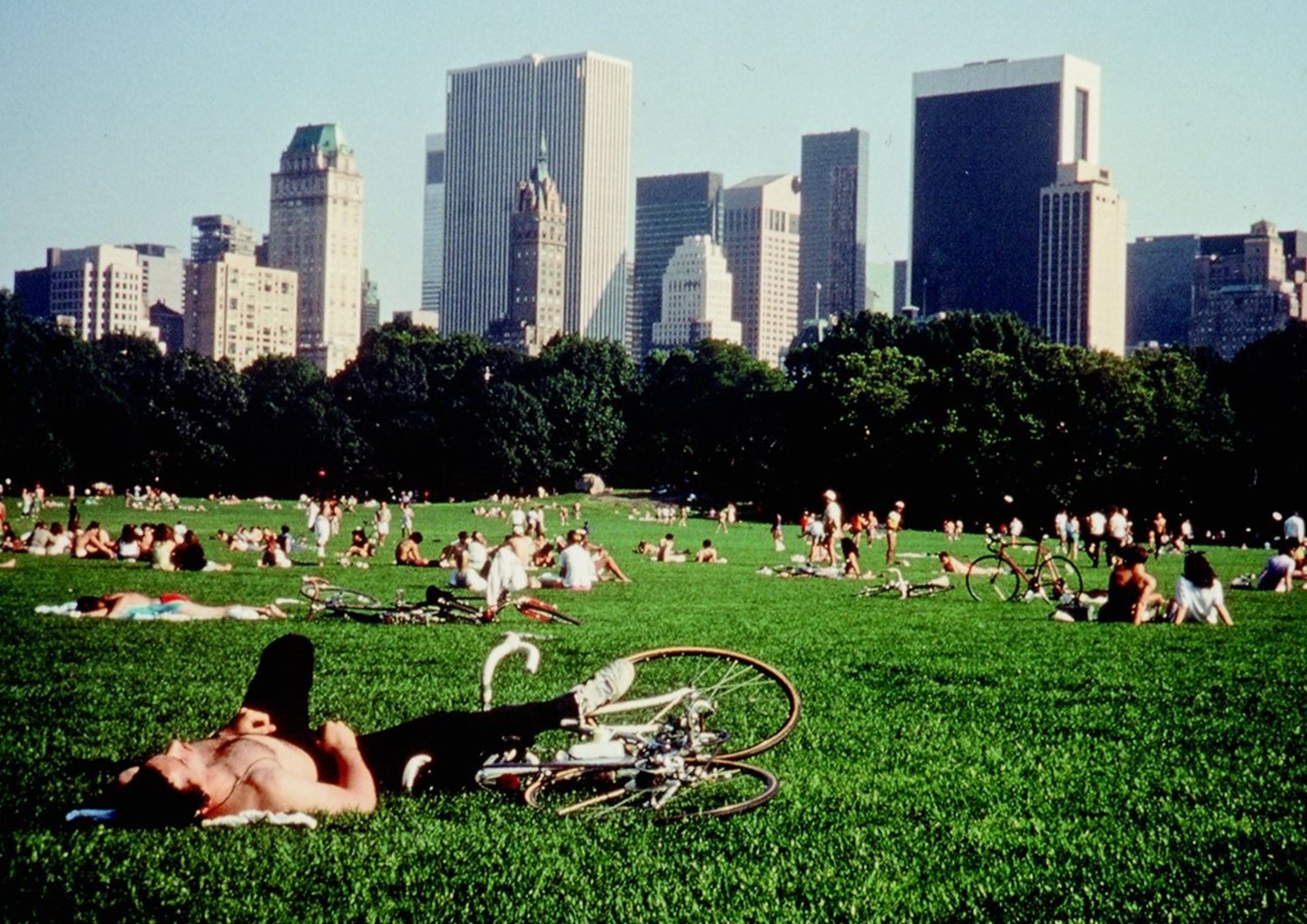 Image from motion picture central park