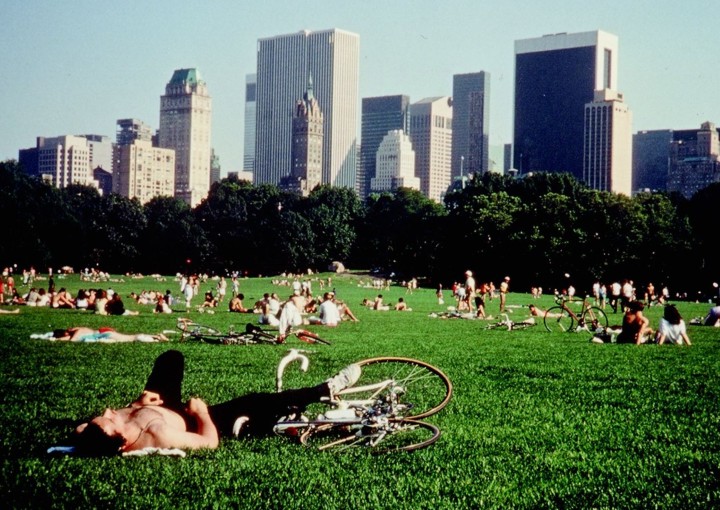 Image from motion picture central park