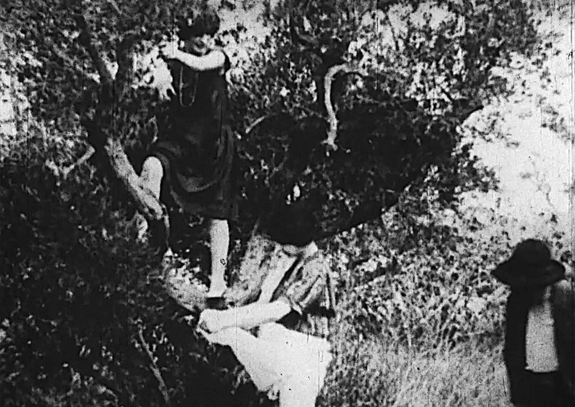 Image from the motion picture XCXHXEXRXRXIXEXSX