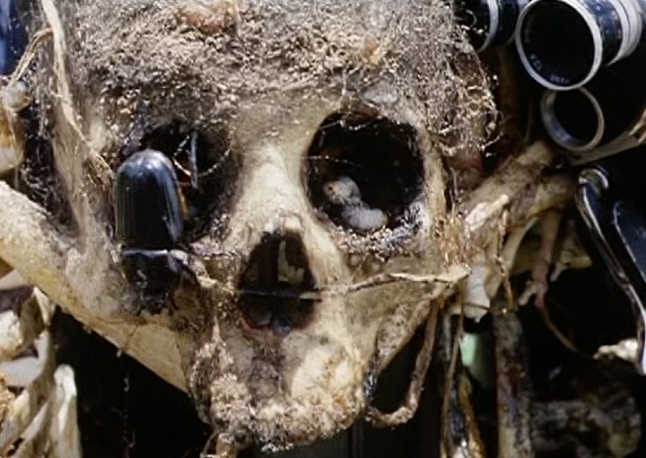 Image from the motion picture Cannibal Holocaust