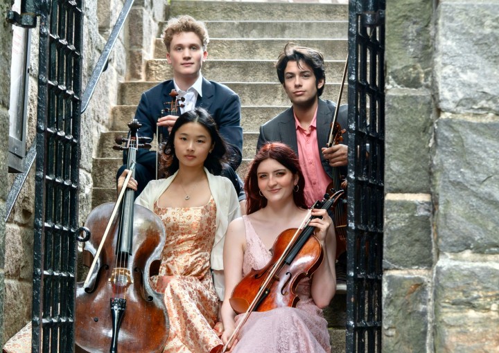 The Candide Quartet