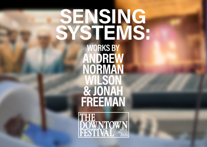 poster for Sensing Systems, Works by Andrew Norman Wilson and Jonah Freeman