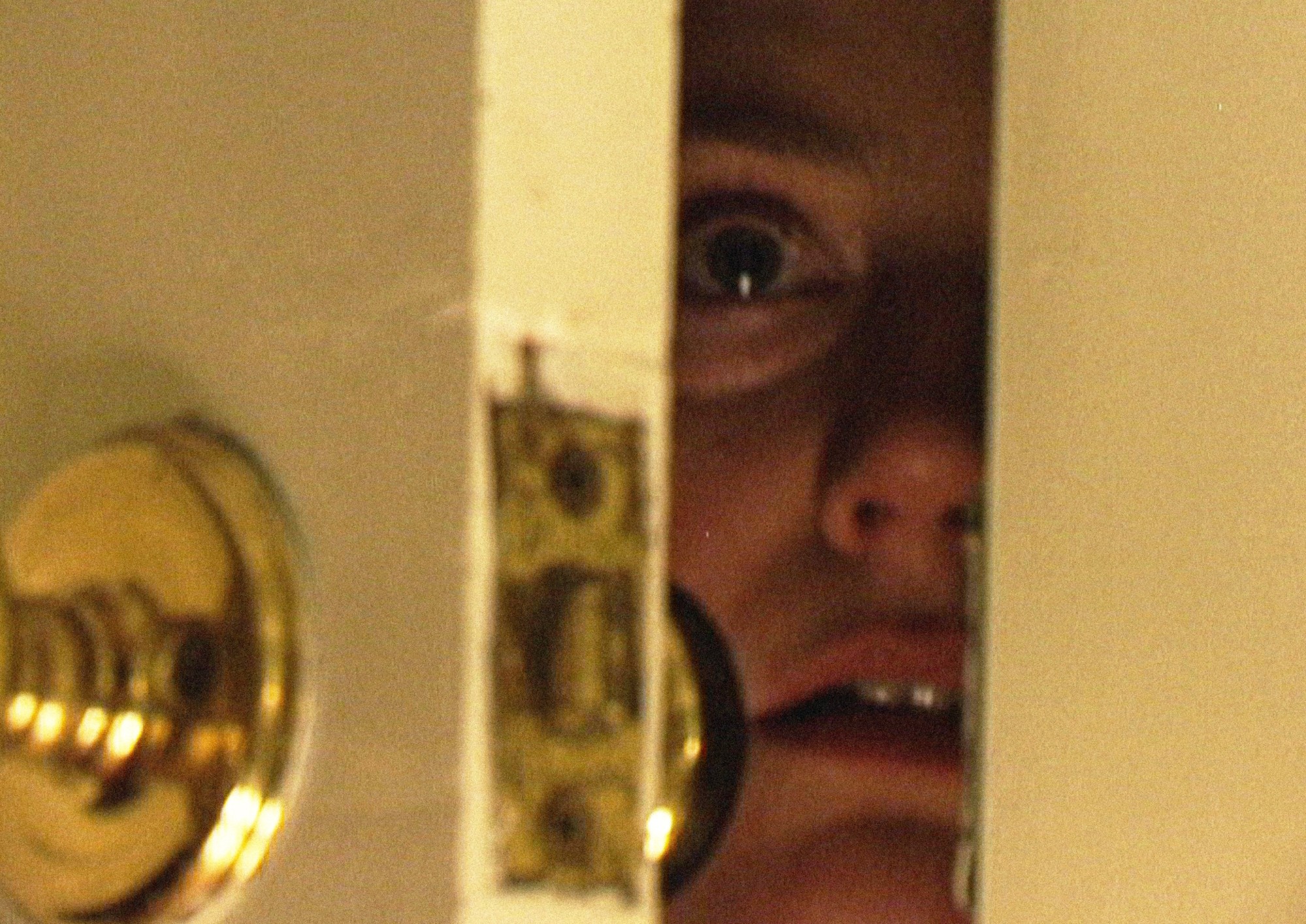 film still from Gorilla Gorilla (2026)